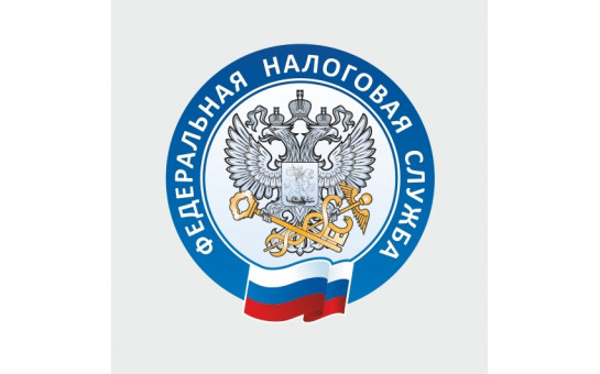 Как узнать о наличии налоговой задолженности и погасить ее